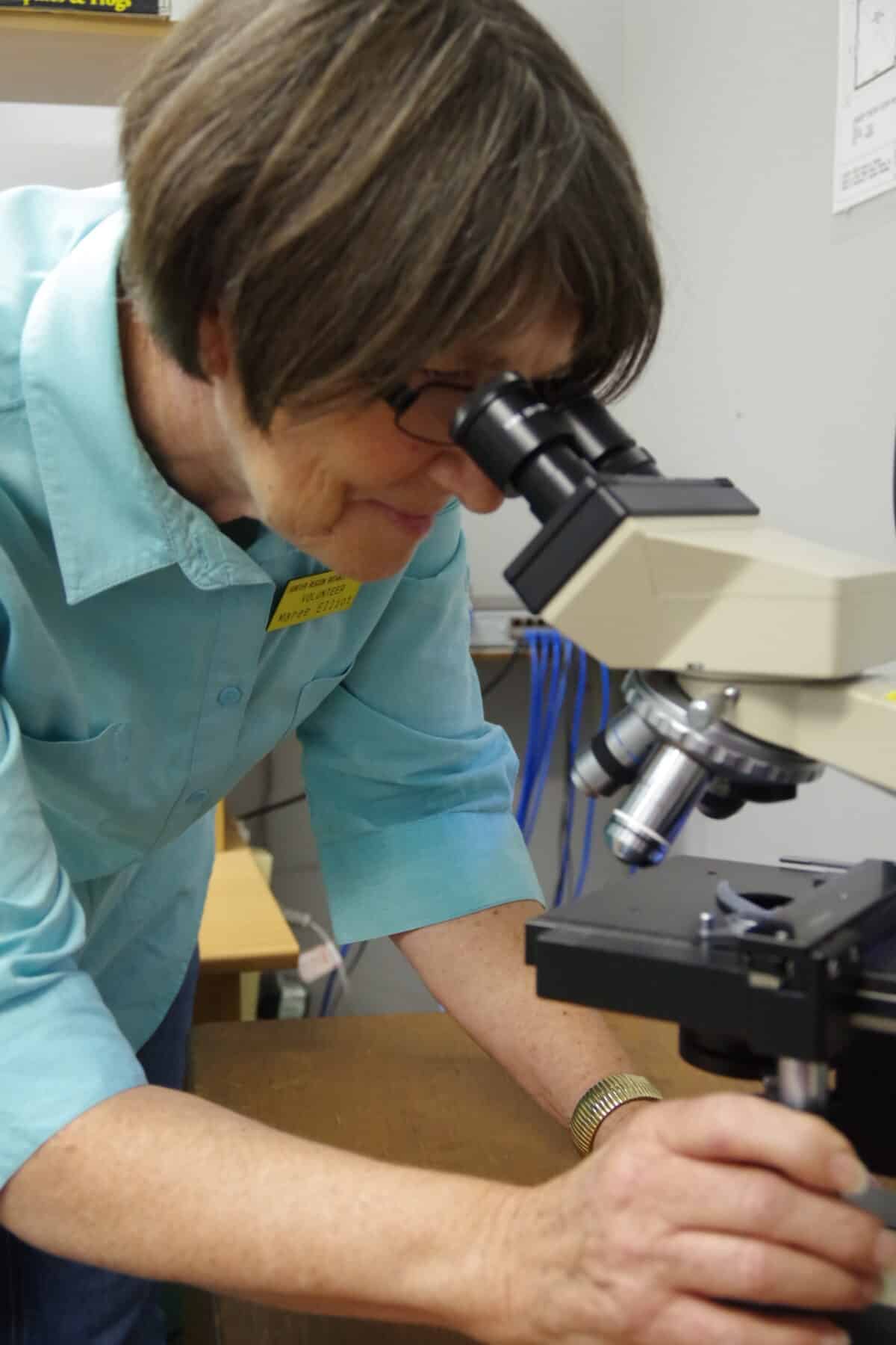 Harberd Learn the Fascinating World of Botanical Studies